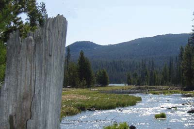 Cascade Guides Fly Fishing Central Oregon